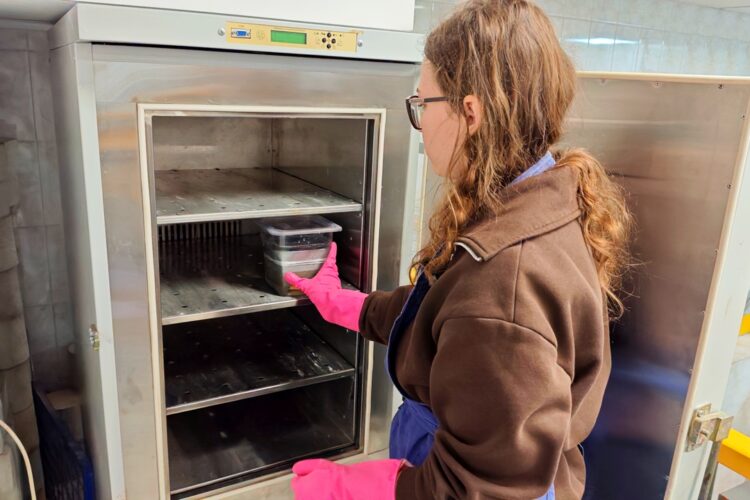 Загрузка образцов в установку КШ24К-5/6 для проведения испытаний на морозостойкость